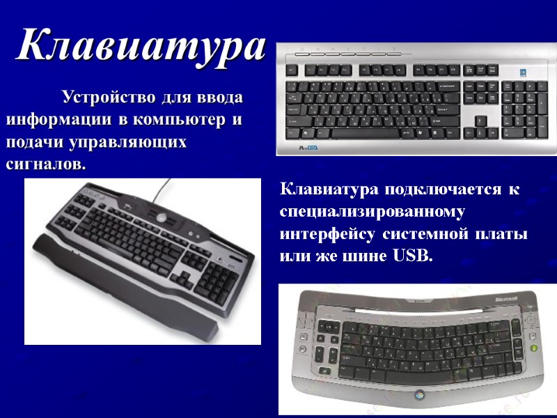 Клавиатура  Устройство для ввода информации в компьютер и подачи управляющих сигналов. Клавиатура подключается